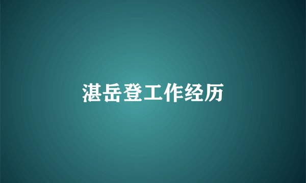 湛岳登工作经历