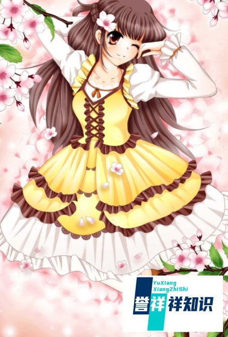 女装美少年限定攻略
