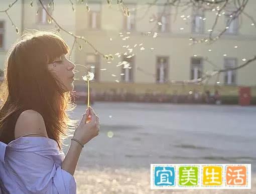 周杰伦《蒲公英的约定》将拍成电视剧,国产青春片爆点在哪里?