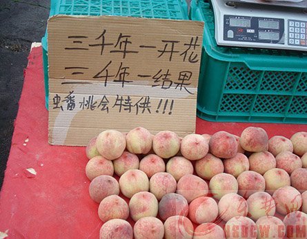 雷人网的介绍