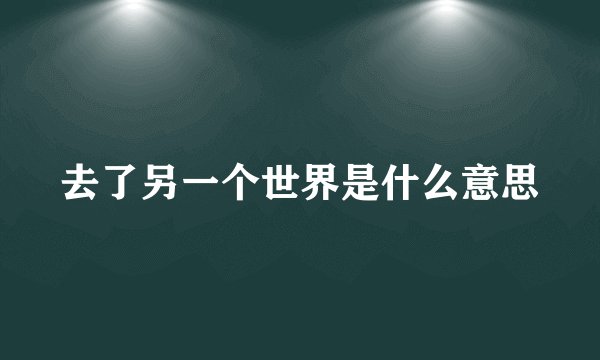 去了另一个世界是什么意思