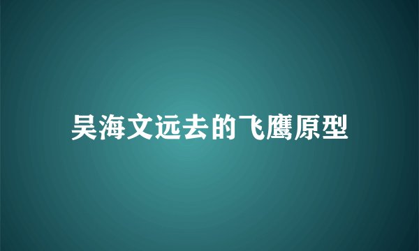 吴海文远去的飞鹰原型