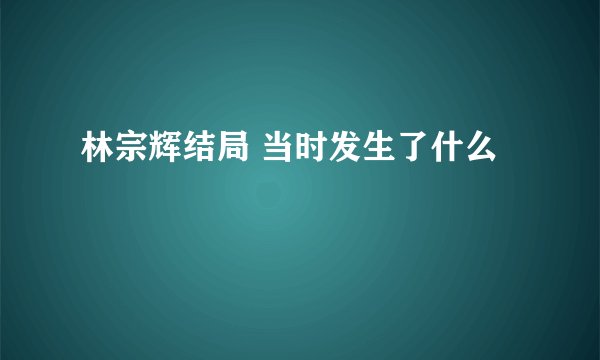 林宗辉结局 当时发生了什么