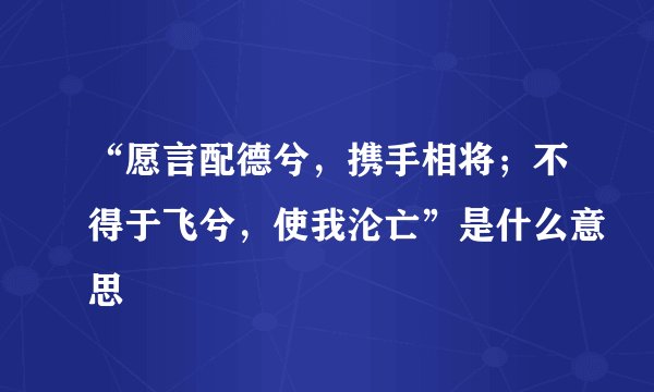 “愿言配德兮，携手相将；不得于飞兮，使我沦亡”是什么意思