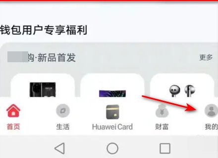 花瓣支付在哪里打开