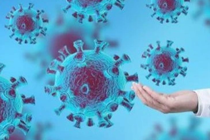 大疫不过三年的顺口溜