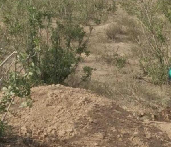 “男子活埋79岁瘫痪母亲”细节曝光