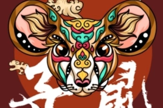 数黑论黄是什么生肖