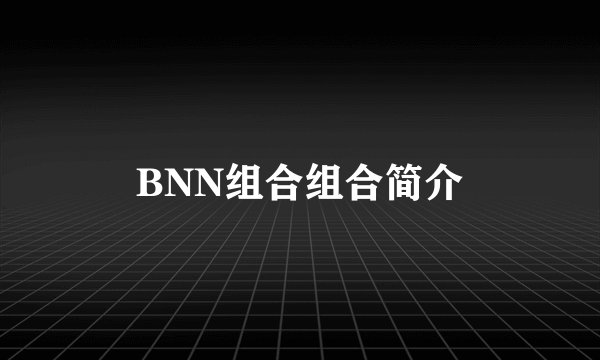 BNN组合组合简介