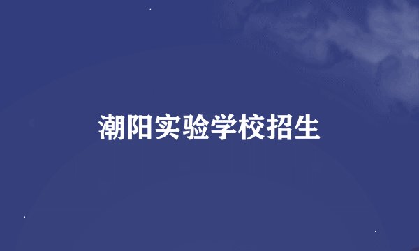 潮阳实验学校招生