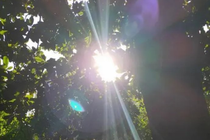射入的意思