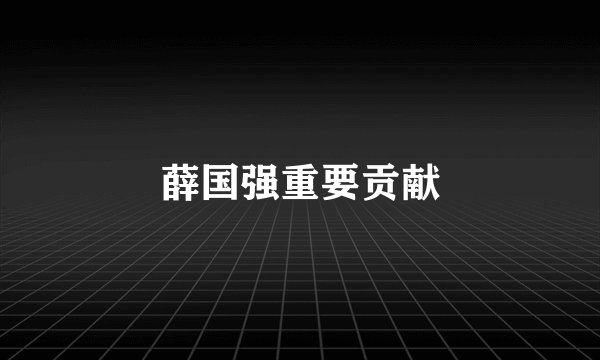 薛国强重要贡献