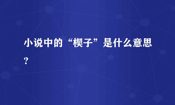 小说中的“楔子”是什么意思？