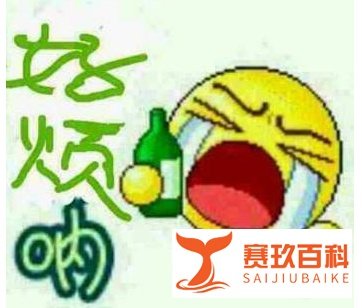 飞机要卖站票？！看起来竟然还挺靠谱的。。。