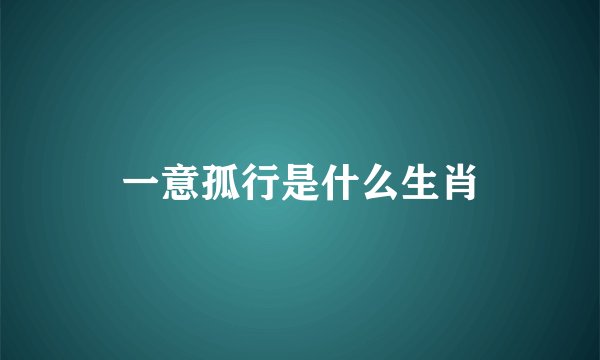 一意孤行是什么生肖