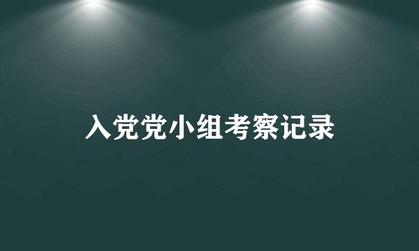 入党党小组考察记录