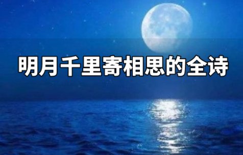 明月千里寄相思全诗是什么