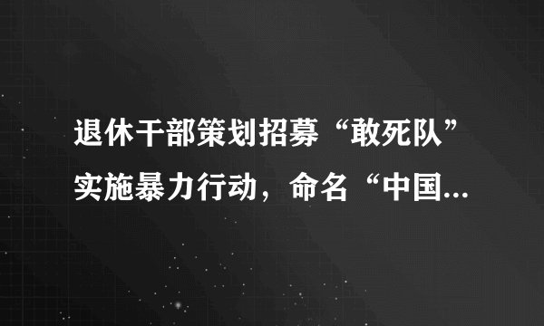 退休干部策划招募“敢死队”实施暴力行动，命名“中国班加西工程”