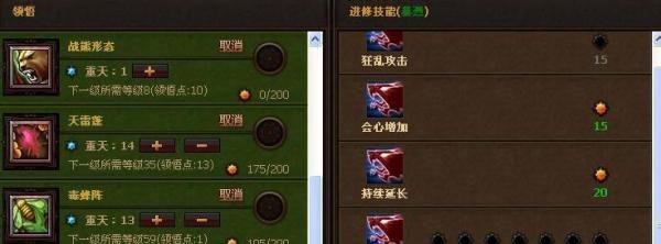斗战神果子狸加点