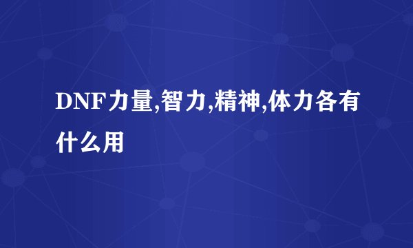 DNF力量,智力,精神,体力各有什么用