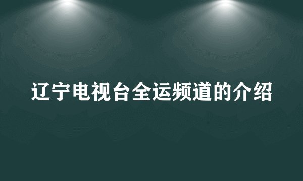 辽宁电视台全运频道的介绍