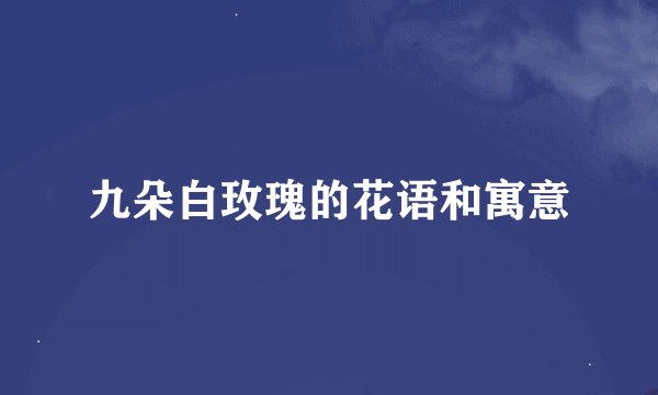 九朵白玫瑰的花语和寓意