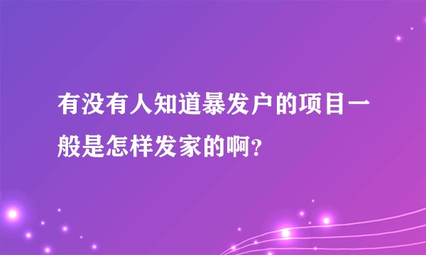有没有人知道暴发户的项目一般是怎样发家的啊？
