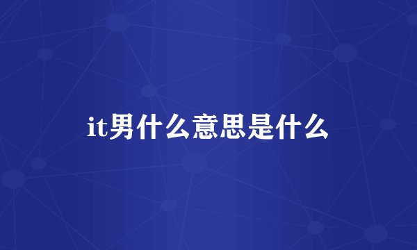 it男什么意思是什么