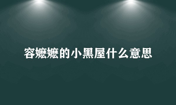 容嬷嬷的小黑屋什么意思