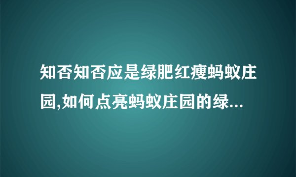 知否知否应是绿肥红瘦蚂蚁庄园,如何点亮蚂蚁庄园的绿肥红瘦氛围？