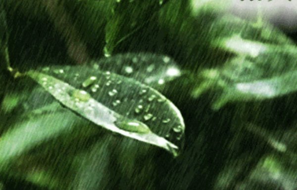 口语交际 雨的诉说 写一段生动的话语，以｀雨｀的身份导入