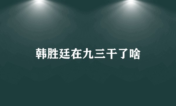 韩胜廷在九三干了啥