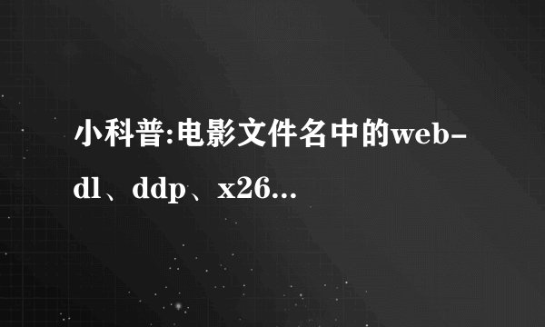 小科普:电影文件名中的web-dl、ddp、x265都是什么意思?