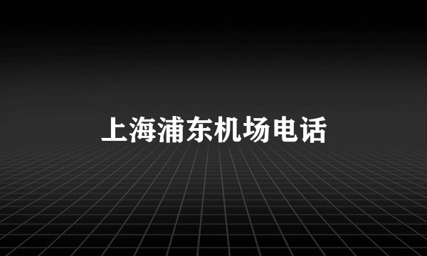 上海浦东机场电话