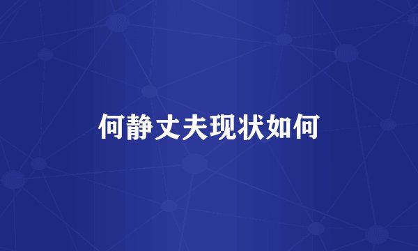 何静丈夫现状如何