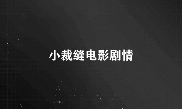 小裁缝电影剧情