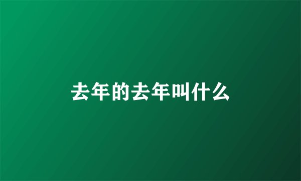 去年的去年叫什么