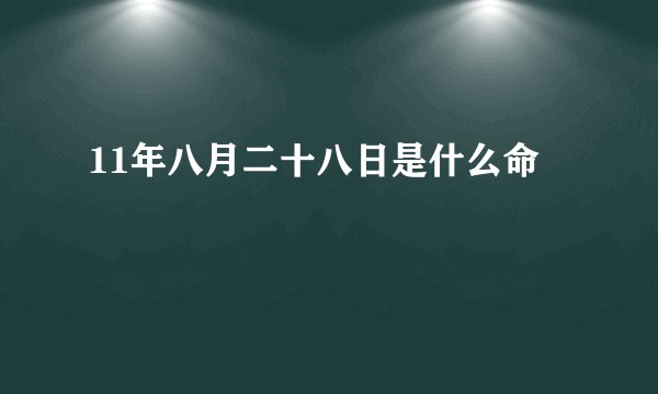 11年八月二十八日是什么命