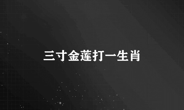 三寸金莲打一生肖