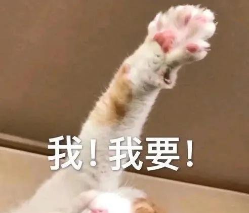 【#北京囤货太多市民直呼后悔# ：有的菜都蔫儿了……】