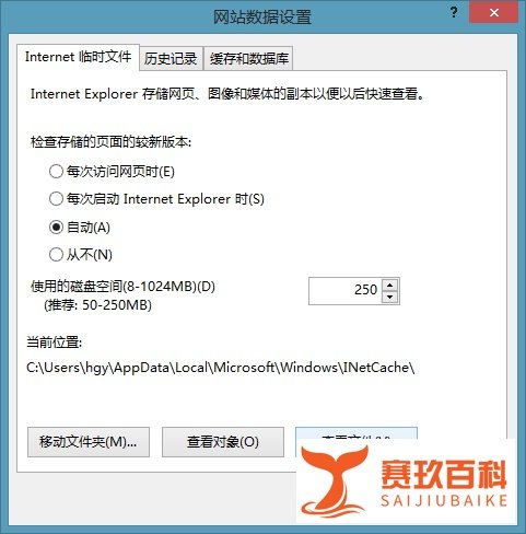 如何提取IE缓存文件