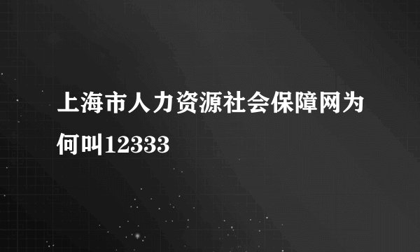 上海市人力资源社会保障网为何叫12333