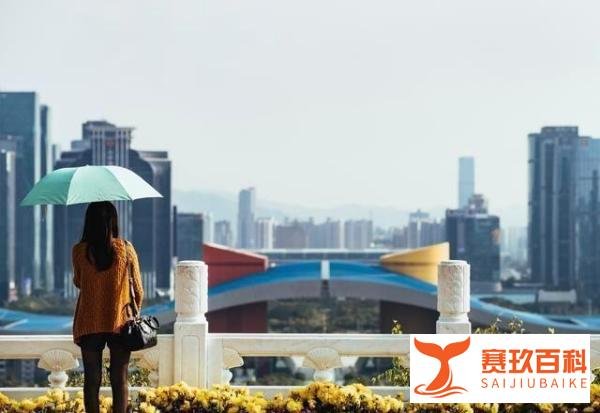 我国单身人口突破2.4亿！