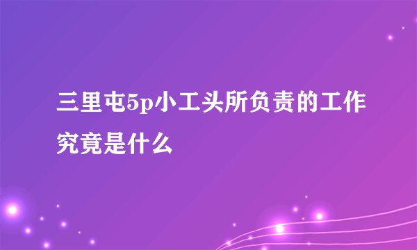 三里屯5p小工头所负责的工作究竟是什么