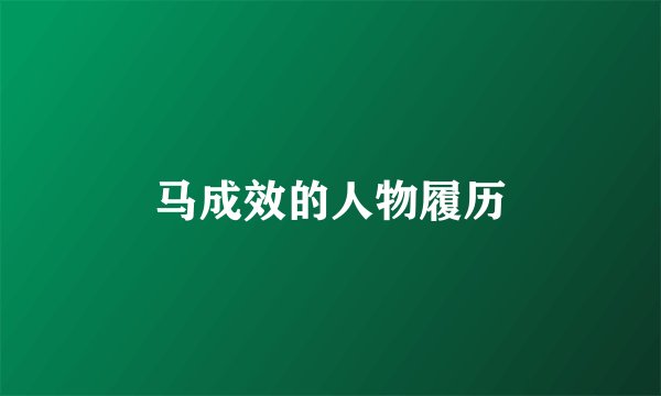 马成效的人物履历