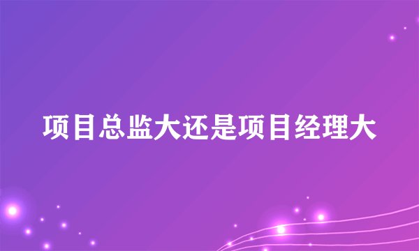 项目总监大还是项目经理大