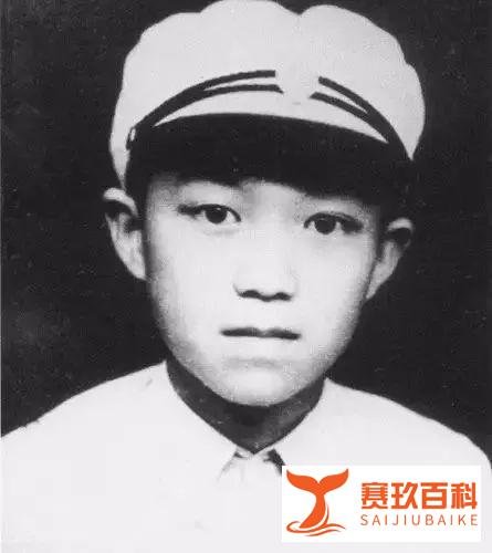 谢晋与徐大雯：安心牵手62年，没有风雨躲得过，没有坎坷不必走