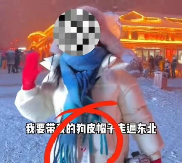 哈尔滨退票事件发酵，有人分享白嫖经验，网友辣评：黑心土豆