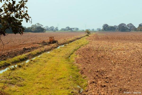 产假多少天2022规定最新