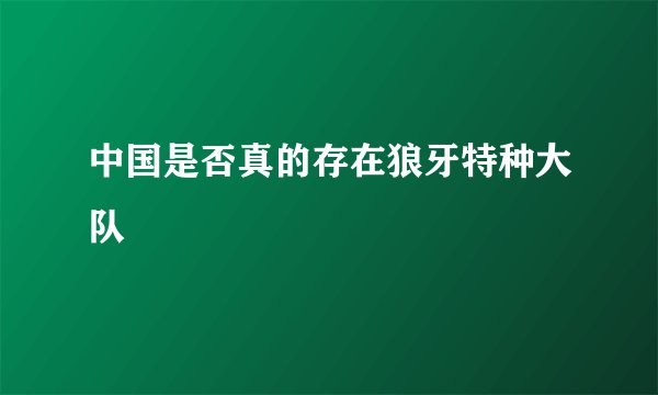 中国是否真的存在狼牙特种大队